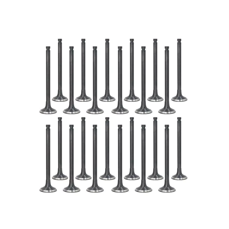 Engine Valves Set for BMW N57D30A 3.0 Diesel