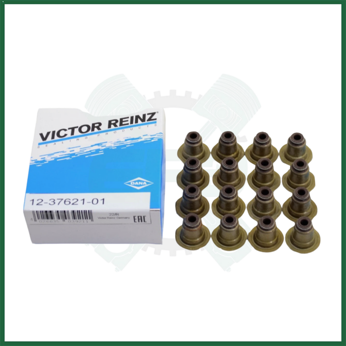 Victor Reinz Valve Stem Seal Set BMW N13B16 MINI Cooper 1.6 Petrol
