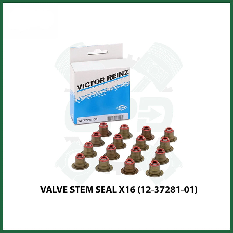 BMW N46B20 2.0L Petrol Victor Reinz Valve Stem Seal Set