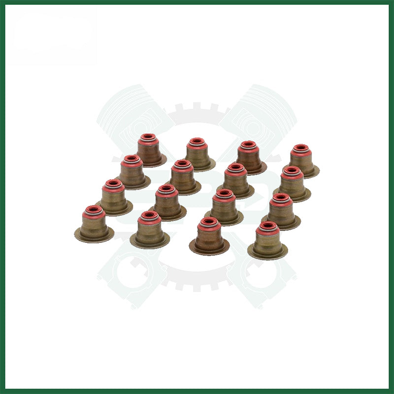 BMW N46B20 2.0L Petrol Victor Reinz Valve Stem Seal Set