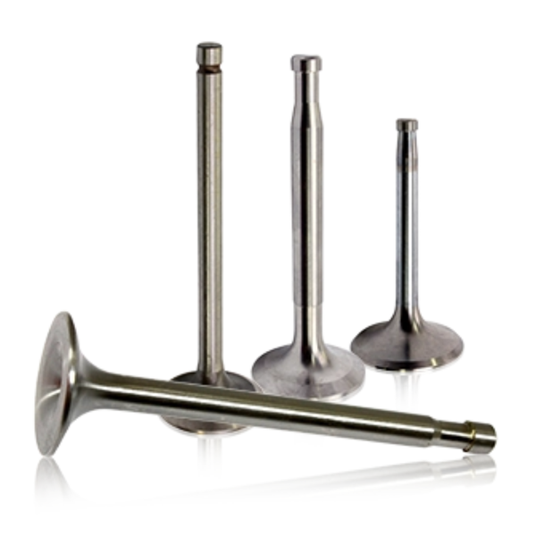 Inlet Exaust Valves