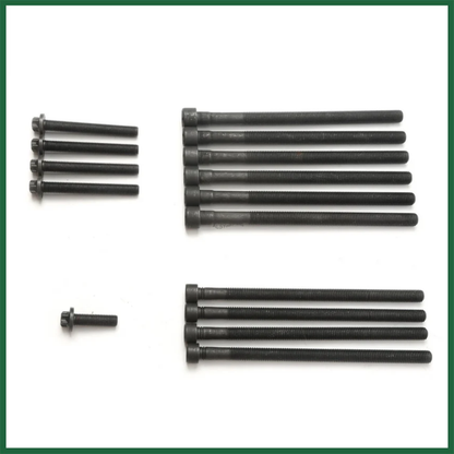Head Bolt Kit BMW N20B20 2.0L Turbo Petrol Engine