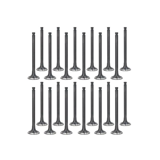 Engine Valves Set for BMW N57D30A 3.0 Diesel