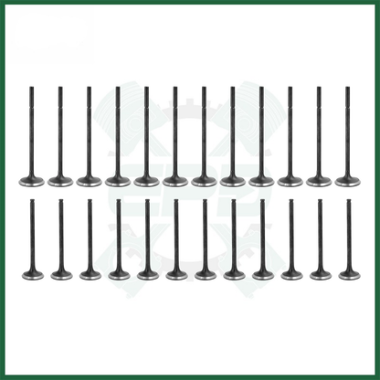 24 PCS INTAKE & EXHAUST VALVES FOR JAGUAR LAND ROVER 306PS AJ126 3.0 V6 PETROL