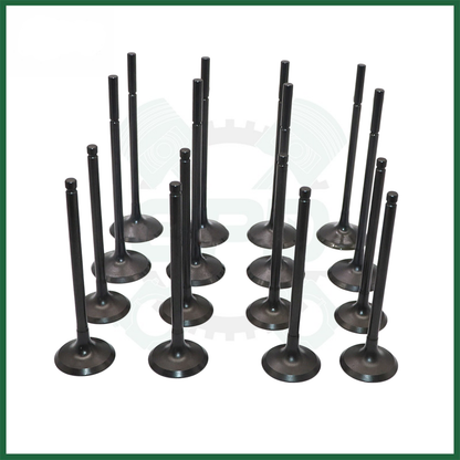 508PS INTAKE & EXHAUST VALVES x32 PCS - 306DT TDV6 VICTOR REINZ HEAD GASKET