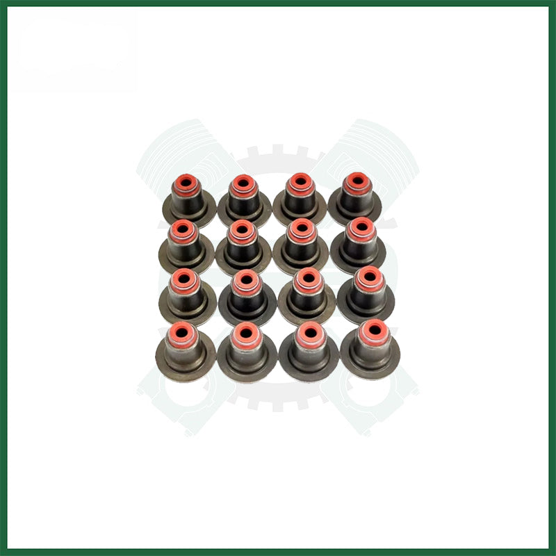 BMW N46B20 2.0L Petrol Victor Reinz Valve Stem Seal Set