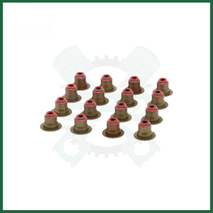 BMW N46B20 2.0L Petrol Victor Reinz Valve Stem Seal Set